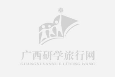 武汉大学报警！研学夏令营涉诈骗，机构道歉并辟谣“强基建档”