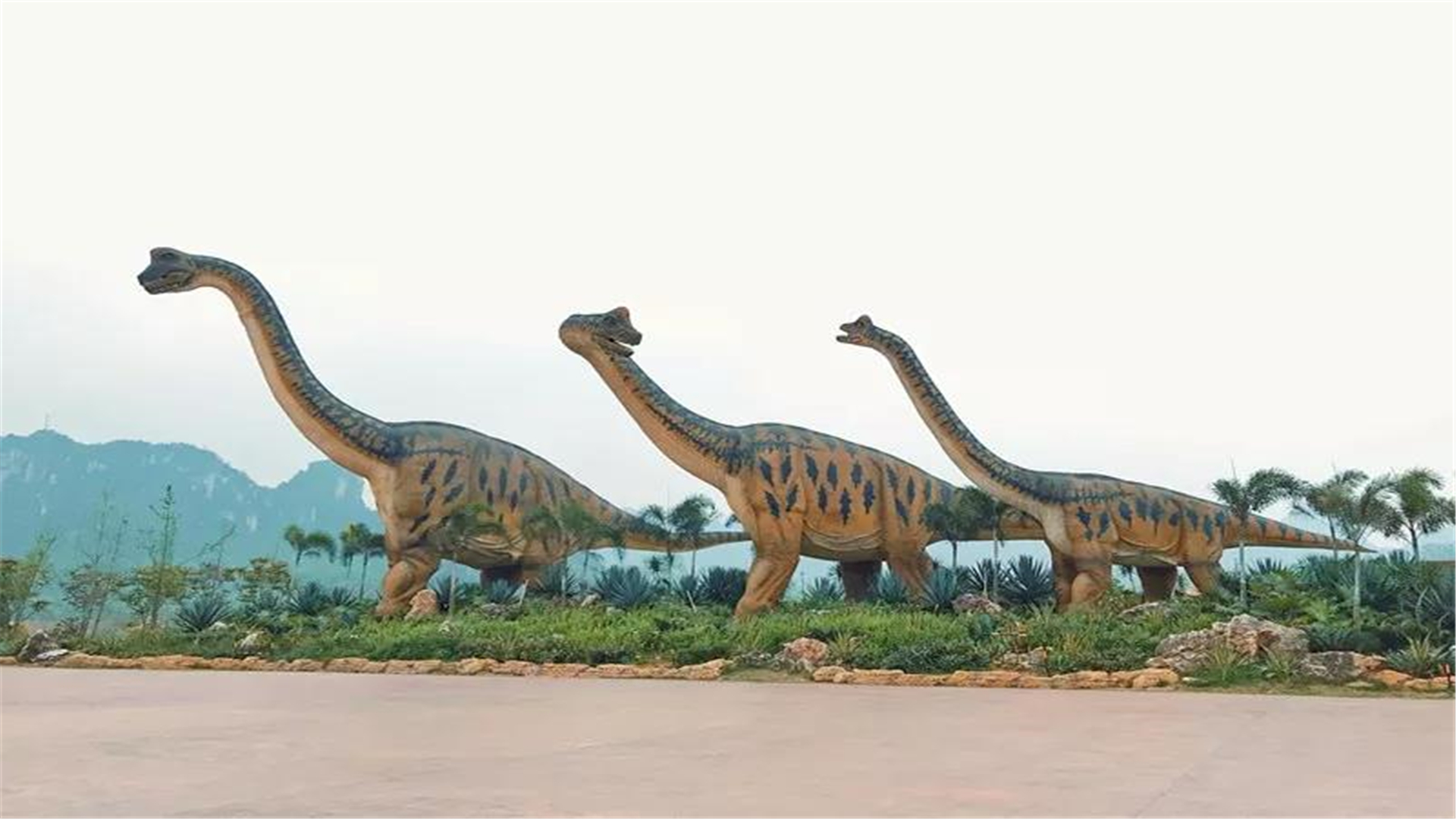 一窝三龙