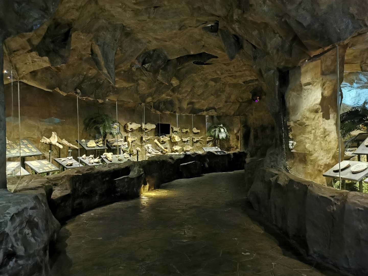 古生物化石馆