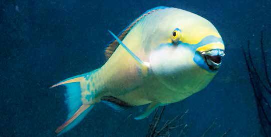 微信图片_20221102110629