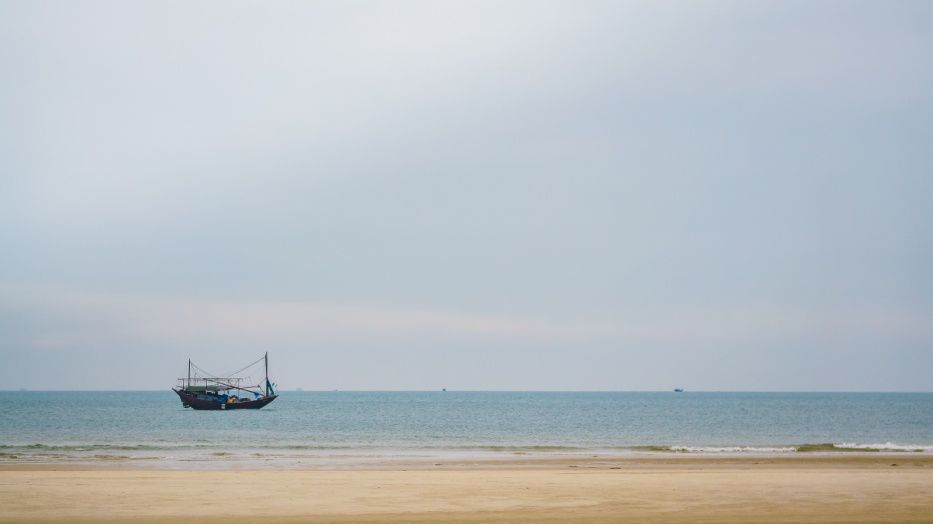 新书 | 467种！广西海洋鱼类最全收录！