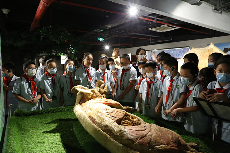 全国科普教育基地助力“双减” 开学季科学课探索生物多样性奥秘