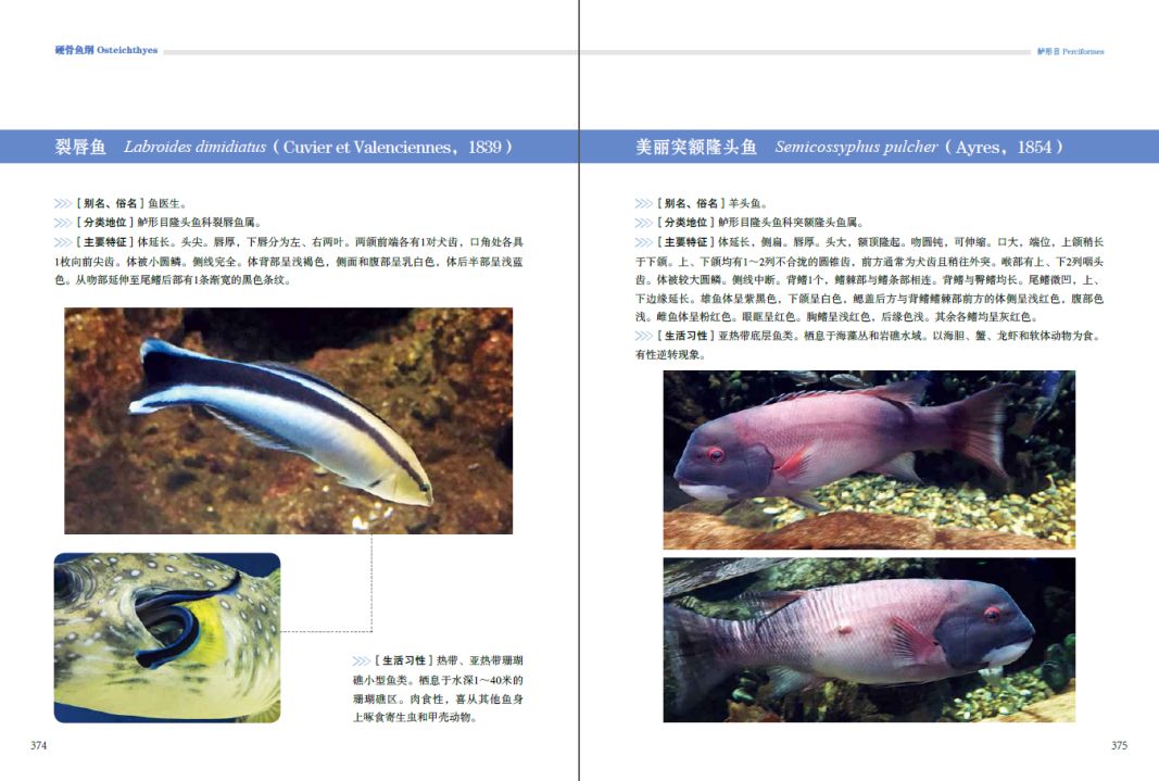 微信图片_20221102110638