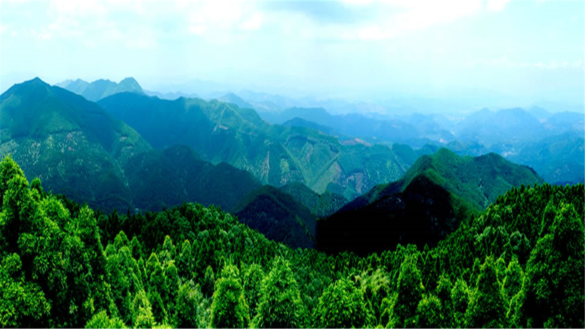 广西国有六万林场